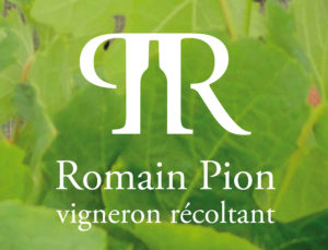 domaine-romain-pion-logo-fond-vigne